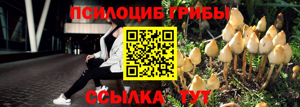 Псилоцибиновые грибы Magic Shrooms Великий Устюг