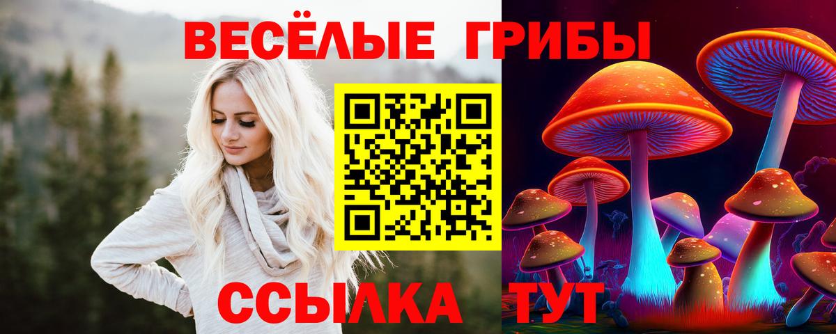 Великий Устюг  Псилоцибиновые грибы Magic Shrooms  Вход с VPN 