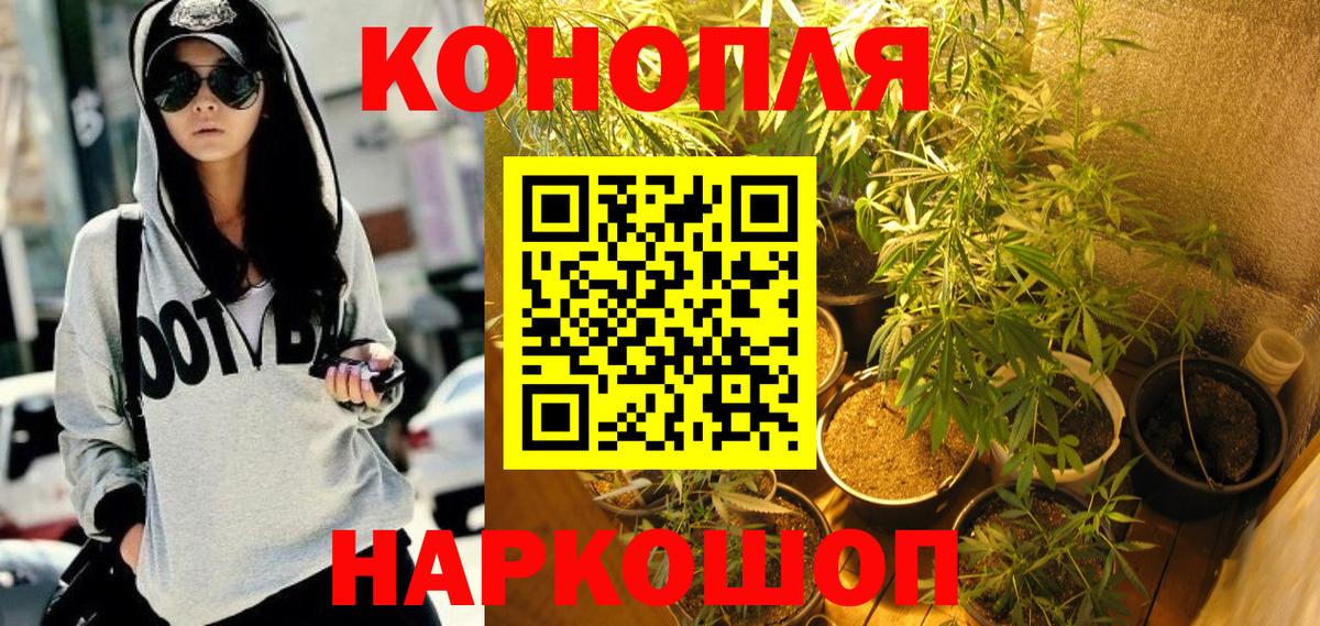 Шишки марихуана Bruce Banner  Канабис семена  Великий Устюг  Вход с VPN 